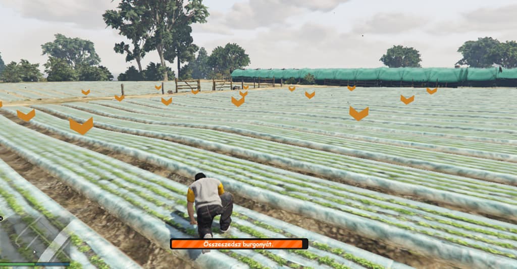 eco collecting
